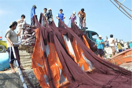 Đảm bảo bốc dỡ hàng hóa nhanh chóng, thuận lợi cho cảng cá khu vực Nam Trung bộ